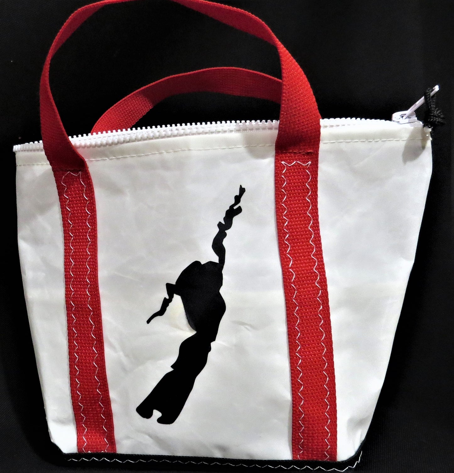 Small Black DLYC Zip Sail Tote